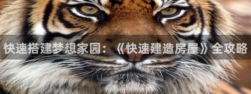 威九国际游戏入口：快速搭建梦想家园：《快速建造房屋》全攻略