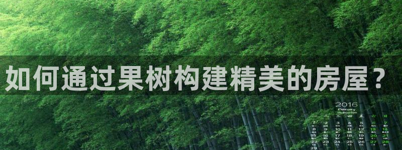 威九国际HP：如何通过果树构建精美的房屋？