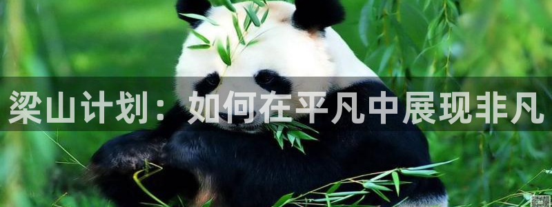 威九国际78mob游戏亮点：梁山计划：如何在平凡中展现非凡