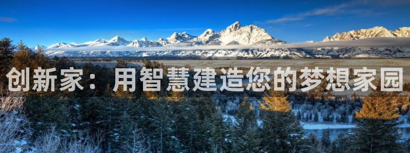 威九国际服：创新家：用智慧建造您的梦想家园