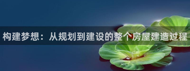 威九国际最新：构建梦想：从规划到建设的整个房屋建造过程