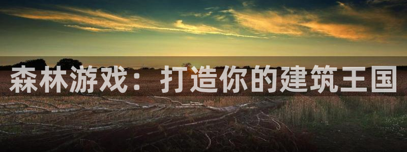 威九国际宣传片：森林游戏：打造你的建筑王国