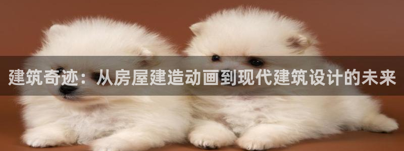 威九国际网站经常打不开：建筑奇迹：从房屋建造动画到现代建筑设计的未来