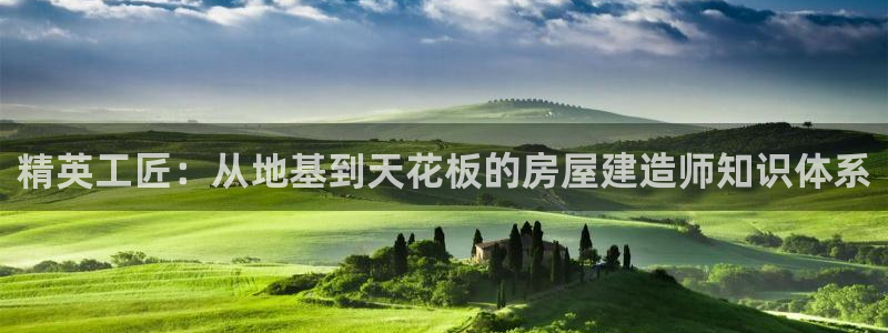 威九国际78mb下：精英工匠：从地基到天花板的房屋建造师知识体系