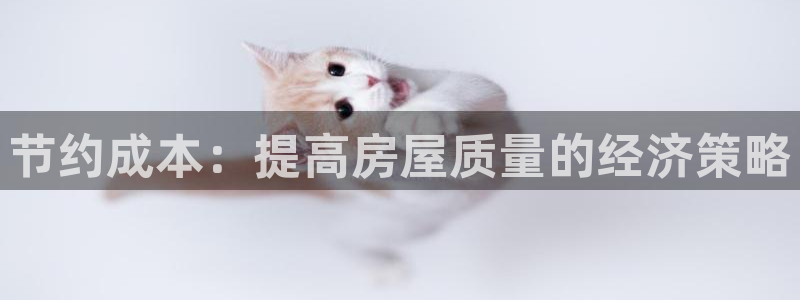 威九国际ppt官网：节约成本：提高房屋质量的经济策略