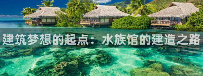 威九国际清砖码：建筑梦想的起点：水族馆的建造之路