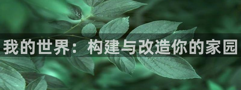 威九国际可以提现吗是真的吗：我的世界：构建与改造你的家园