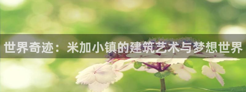 威九国际空降服务女演员叫什么名字：世界奇迹：米加小镇的建筑艺术与梦想世界