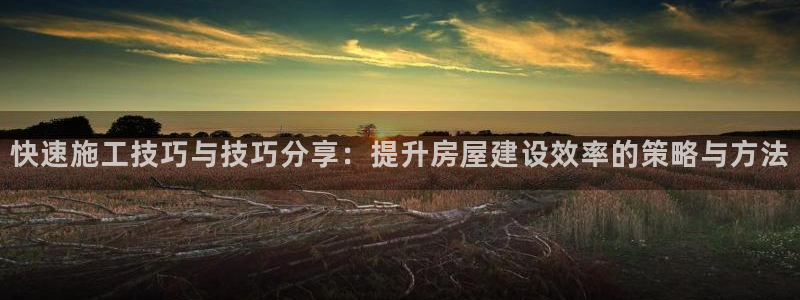 威九cp：快速施工技巧与技巧分享：提升房屋建设效率的策略与方法