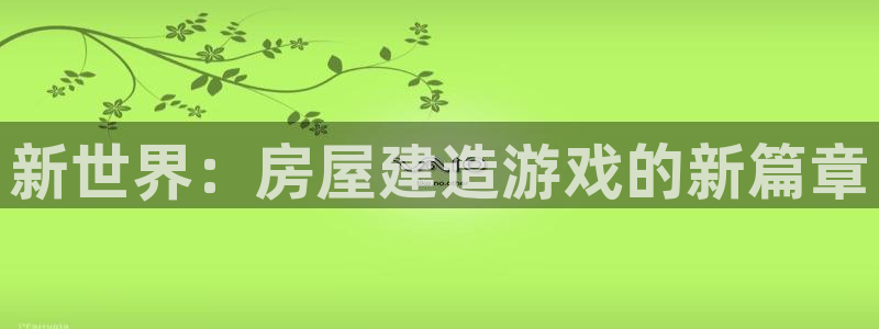 威九code6070：新世界：房屋建造游戏的新篇章