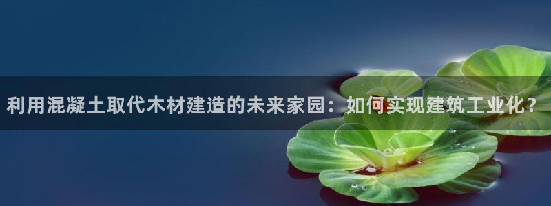 威九国际网站入口官网免费下载：利用混凝土取代木材建造的未来家园：如何实现建筑工业化？