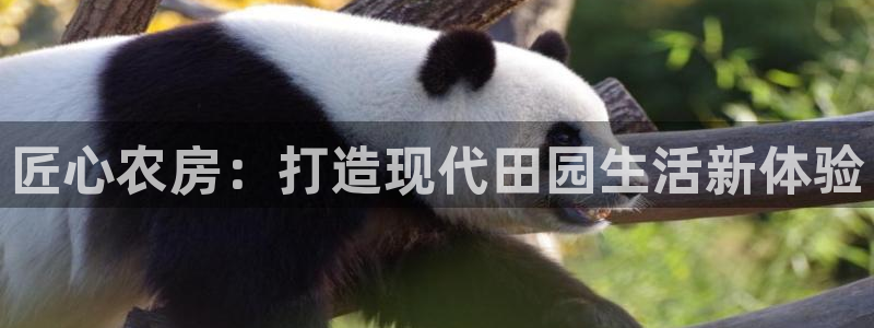 威九国际空降服务怎么样：匠心农房：打造现代田园生活新体验