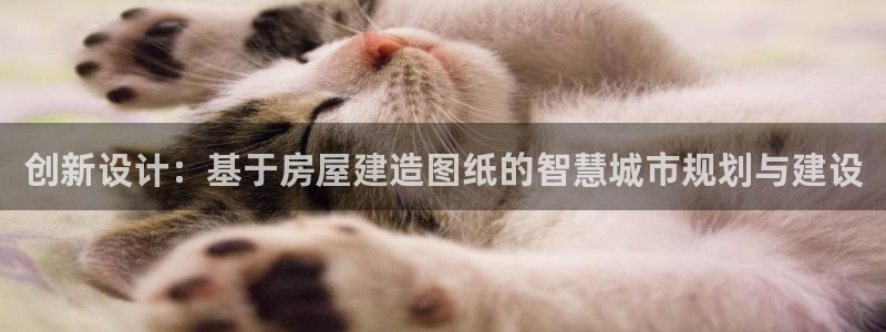 威九国际78m：创新设计：基于房屋建造图纸的智慧城市规划与建设