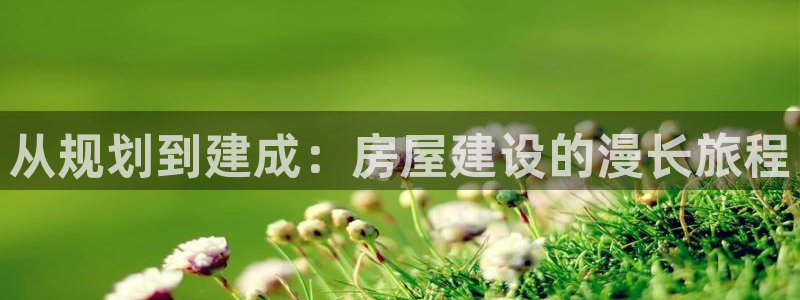 威九国际游戏app(网站)：从规划到建成：房屋建设的漫长旅程