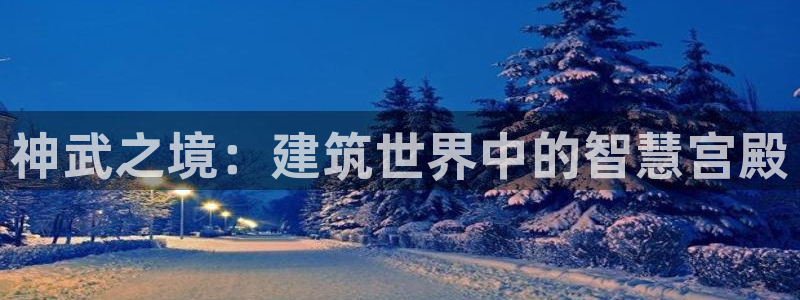 威九国际动漫：神武之境：建筑世界中的智慧宫殿