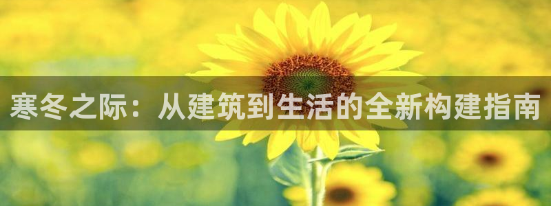 威九国际mm：寒冬之际：从建筑到生活的全新构建指南